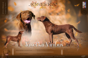 letáček jana smejkalova cbr Josefka